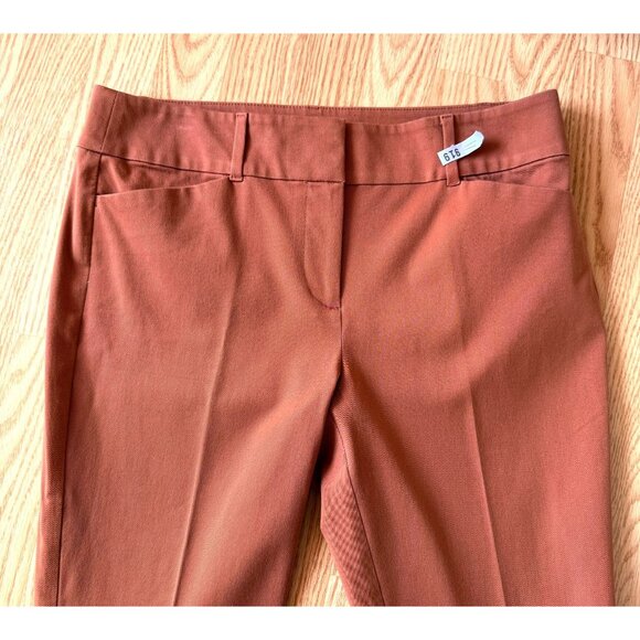 Loft Outlet Pants Size 10 Brick Red Skinny Ankle Stretch Cotton Blend Neutral - Picture 5 of 9